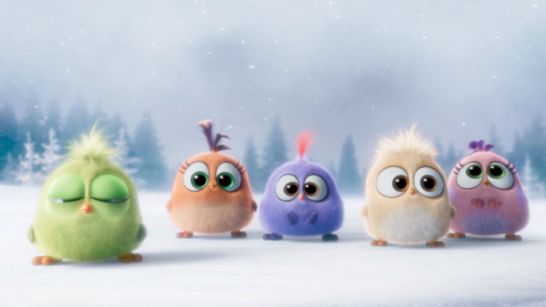 bayi angry birds