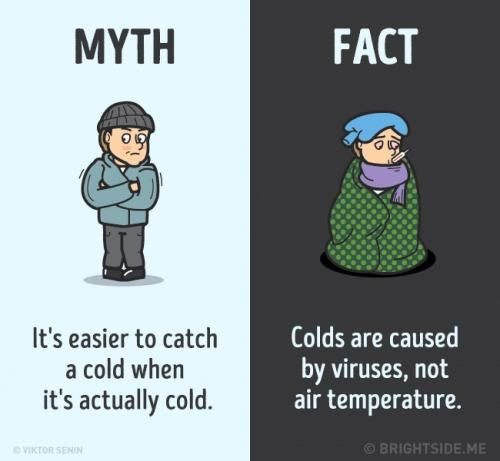 Mitos dan Fakta Tentang FLU