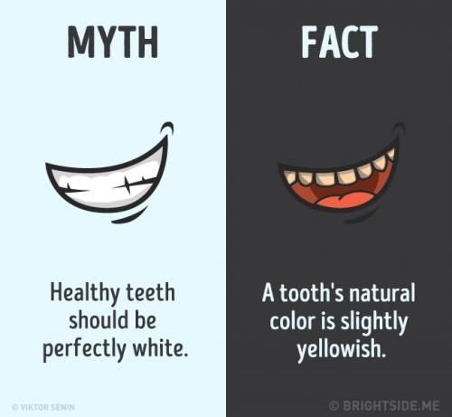 Mitos dan Fakta Tentang Gigi