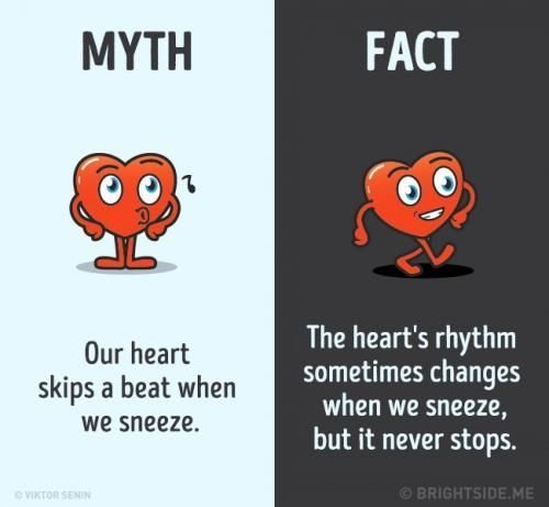Mitos dan Fakta Tentang Jantung