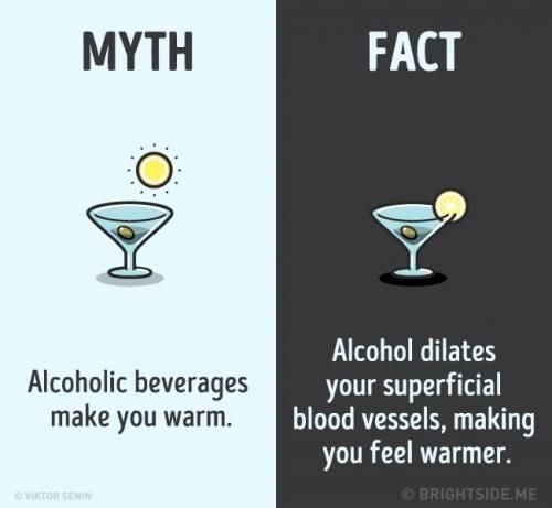 Mitos dan Fakta Tentang Minum Alkohol