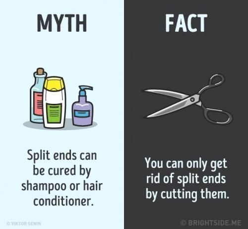 Mitos dan Fakta Tentang Rambut Bercabang