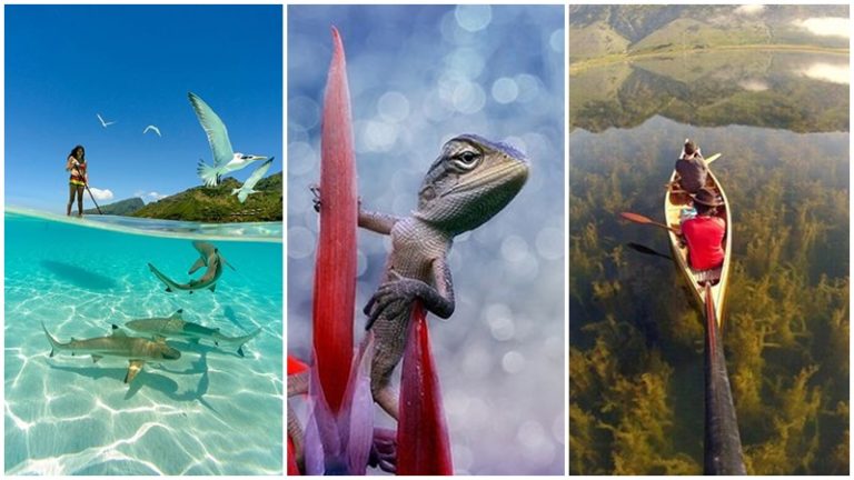 15 Foto Asli Bukan Editan Photoshop ini Bikin Kamu Takjub