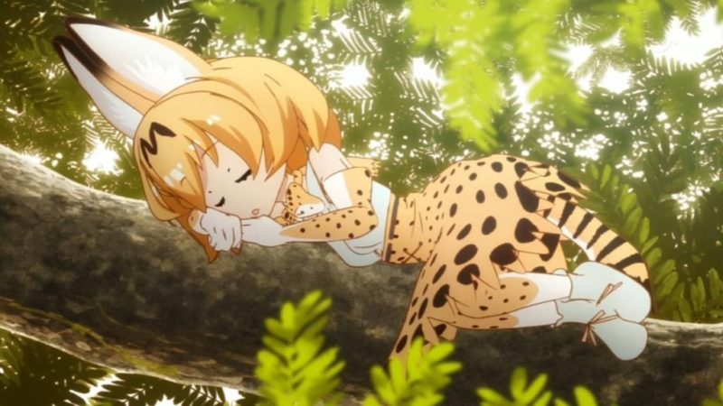 Kemono Friends Anime Lanjut