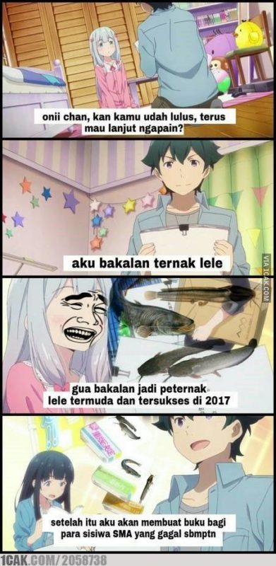 meme mahasiswa setelah lulus 5