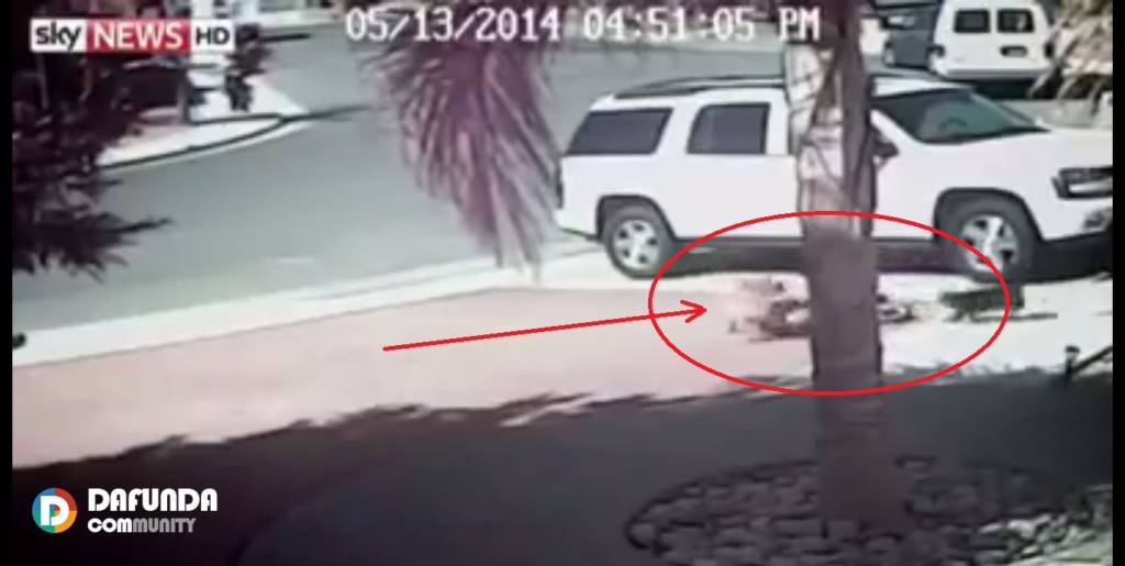 Kucing Penyelamat Dafunda