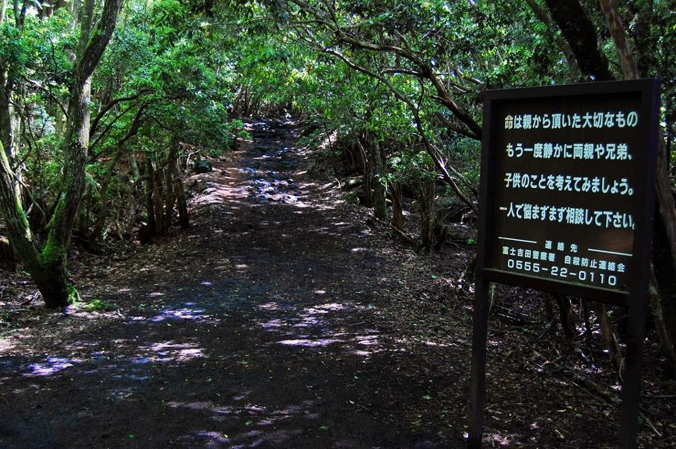 Mengenal Tempat Bunuh Diri Paling Populer Di Jepang AOKIGAHARA! 2