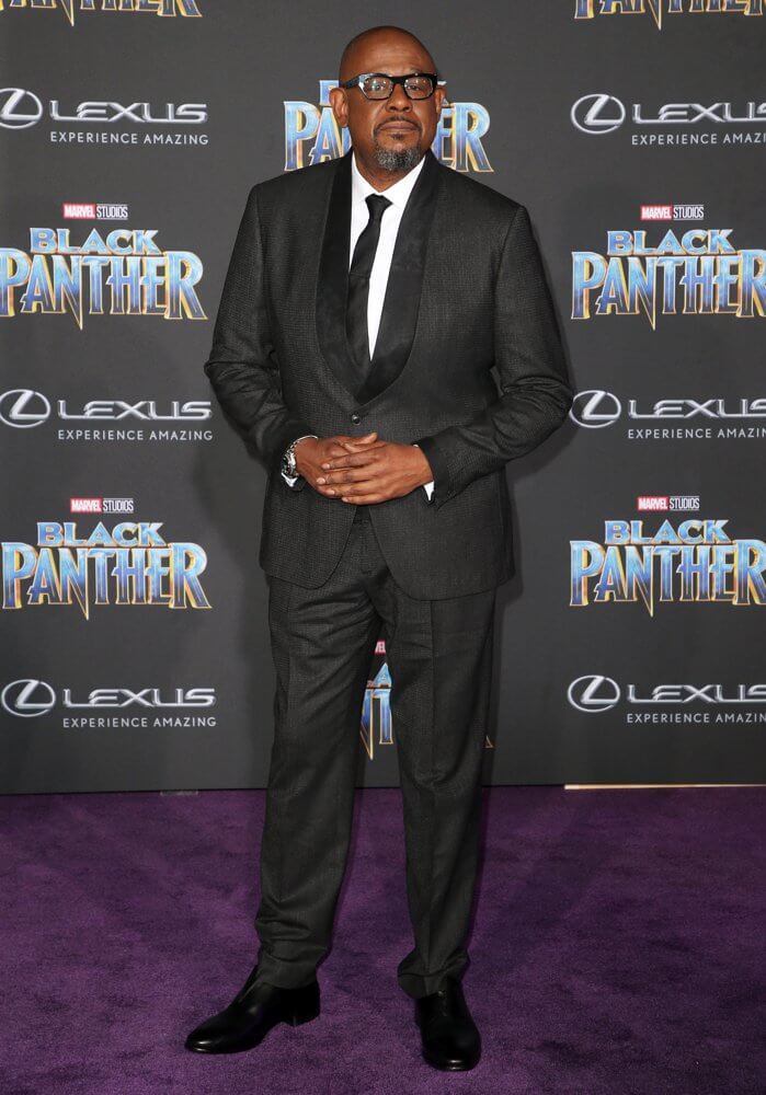 Premiere Black Panther 8