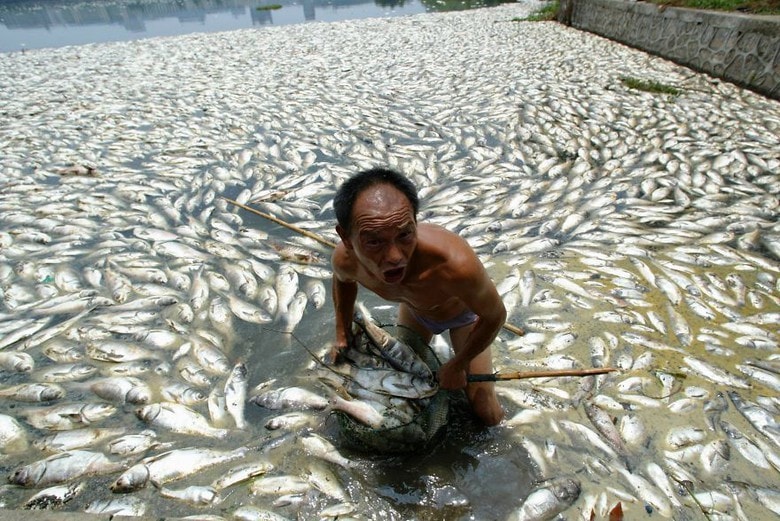 Nelayan Ini Harus Sedih Kehilangan Ratusan Ikan Ikan Ternaknya Min