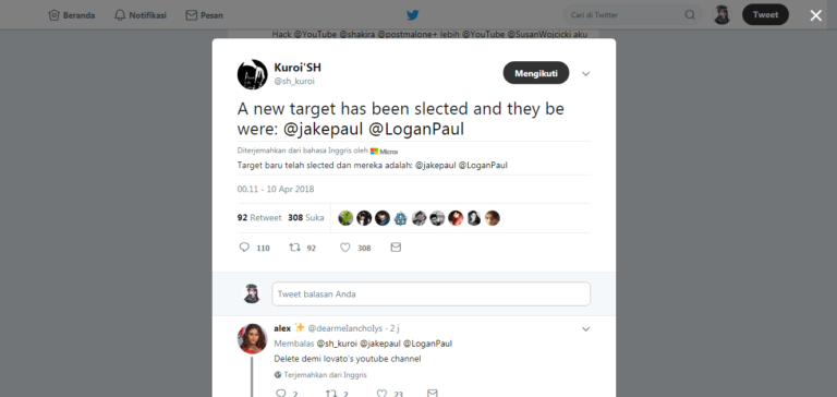 Jake Paul dan Logan Paul Akan Jadi Target Selanjutnya Dari Hacker VEVO!