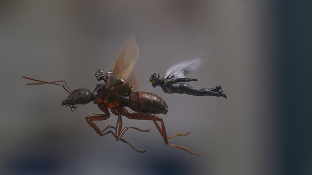 Gara Gara Piala Dunia, Negara Ini Undur Jadwal Tayang Ant Man And The Wasp, Indonesia Juga Dafunda Com