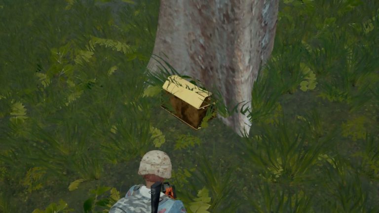 Peti Emas PUBG 2