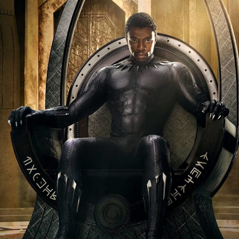 Black Panther 2018 4k 5v 2048x2048