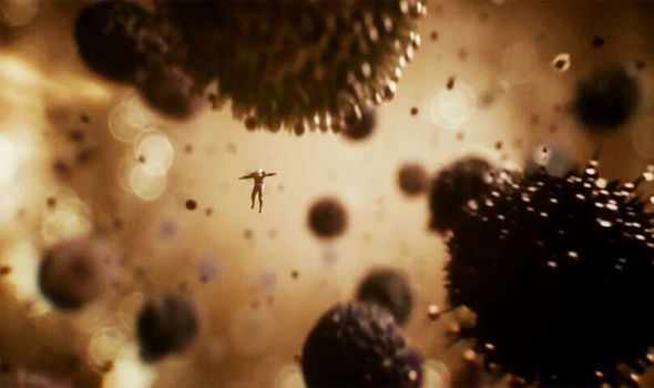 Quantum Realm Ant Man