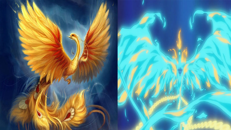 Phoenix mitologi one piece