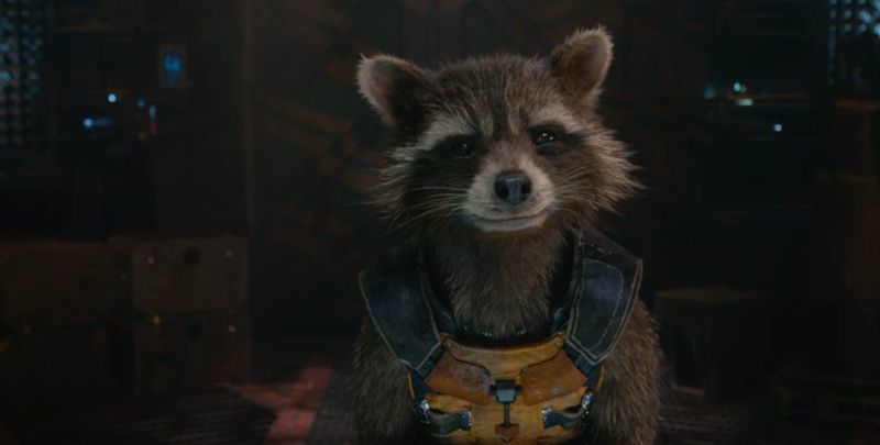 Rocket Raccoon