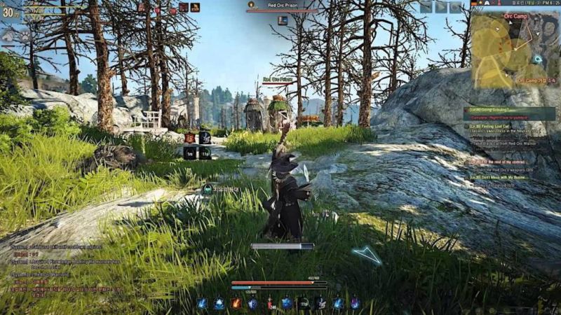 Rekomendasi Game MMORPG Terbaik Untuk PC Black Desert Online