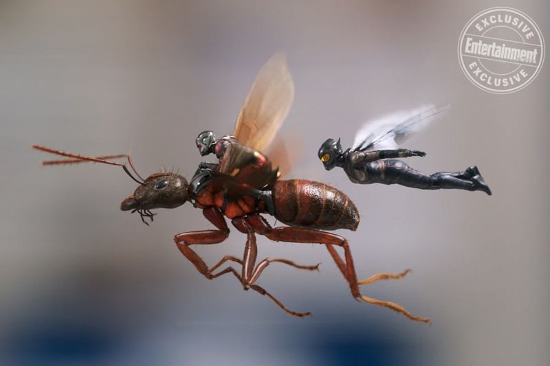 Ant Man And Wasp