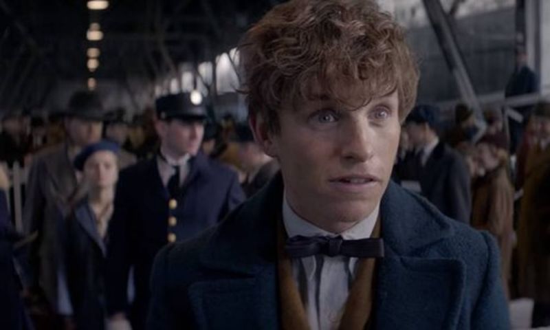 Newt Scamander Muda