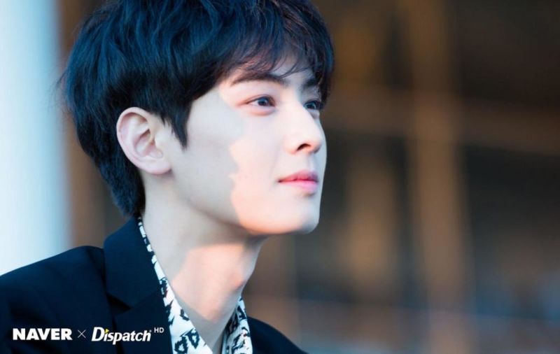 Sukses Besar, Inilah 10 Idol K Pop Yang Jadi Pemeran Utama Di Dalam Drama Korea! Cha Eun Woo