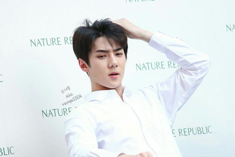 Sukses Besar, Inilah 10 Idol K Pop Yang Jadi Pemeran Utama Di Dalam Drama Korea! Sehun