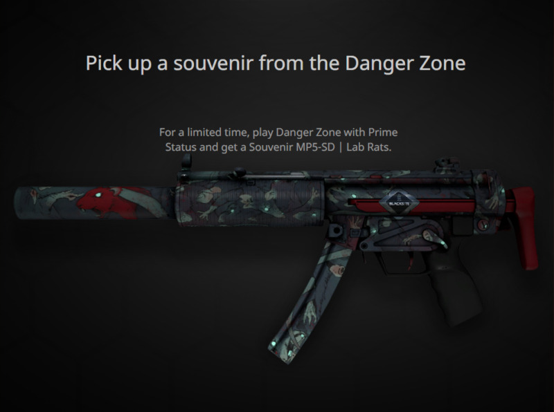 Danger Zone Souvenir Mp 5