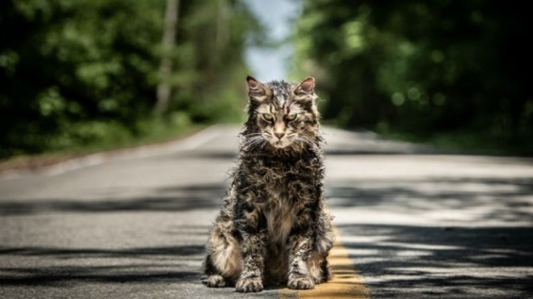 Trailer Pet Sematary