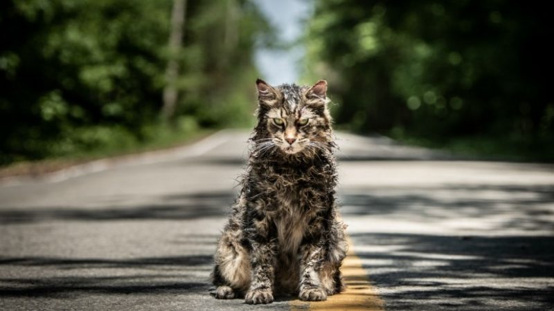 Trailer Pet Samatary, Kisah Horor Stephen King yang Sangat Menakutkan