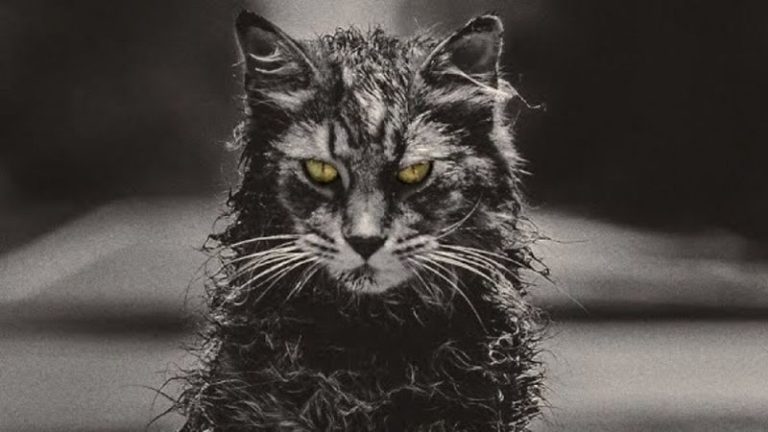 Church Pet Sematary