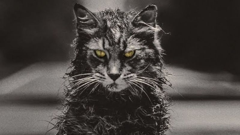 Church Pet Sematary