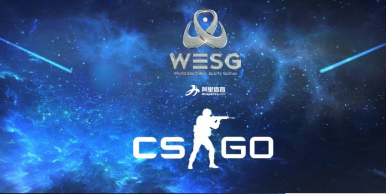 Wesg 6