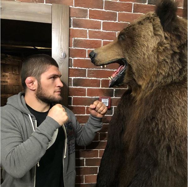 10 Fakta Tentang Khabib Nurmagomedov, Petarung Muslim Yang Berhasil Kalahkan McGregor! Lawan Beruang