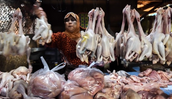 Beginilah Kisah Haru Perjuangan Wanita Yang Berjualan Ayam Agar Bisa Bangun Masjid Di Kampungnya! 2