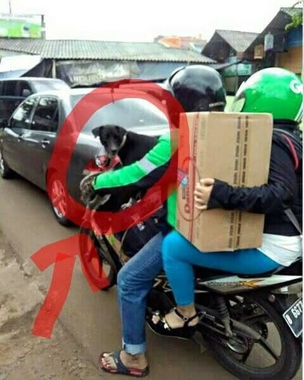 Hanya Ada Di Indonesia, 10 Potret Kelakuan Penumpang Ojek Online Ini Bikin Ngakak! Anak Anjg