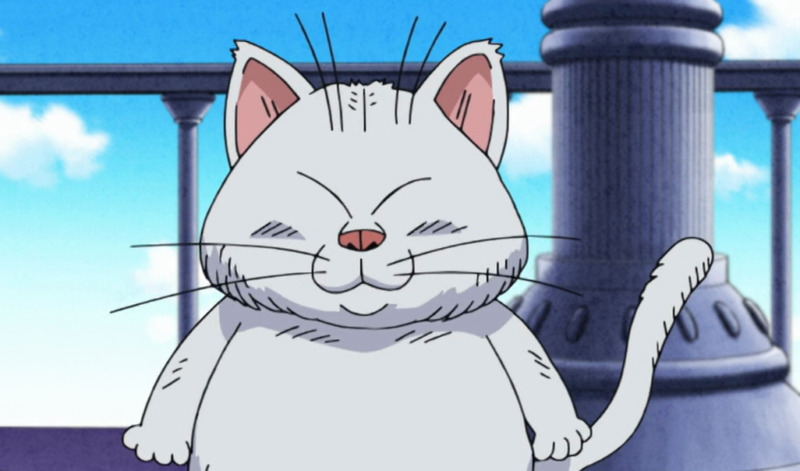 Lucu dan Menggemaskan! 10 Kucing Terbaik yang Ada di Anime 