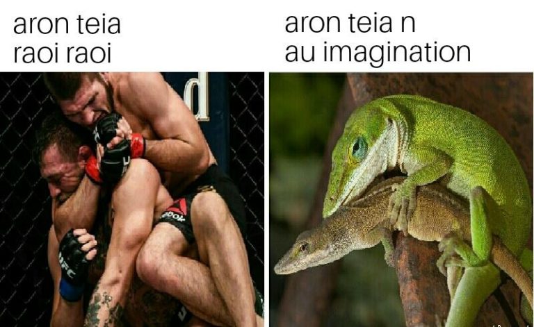 10 Meme Lucu Kekalahan Memalukan McGregor vs Khabib Nurmagomedov ini Buktikan Karma itu Nyata!
