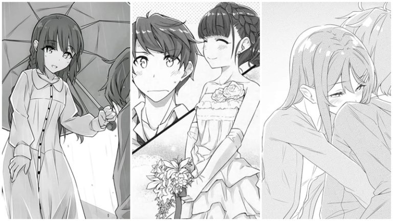 Penuh Konflik, Inilah Spoiler Volume Ketujuh Light Novel ‘Seishun Buta Yarou’