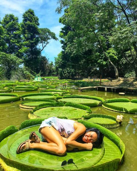 Ngeri, 10 Foto Ini Buktikan Bahwa Manusia Tidak Ada Apa Apanya Dibandingkan Kekuatan Alam! Bunga Teratai Raksasa