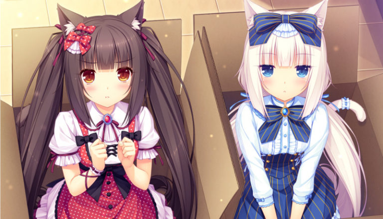 Novel Nekopara