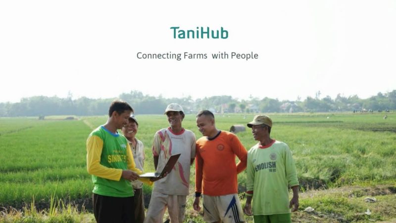 Peran TaniHub5