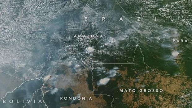 Efek Kebakaran Hutan Amazon Bagi Dunia