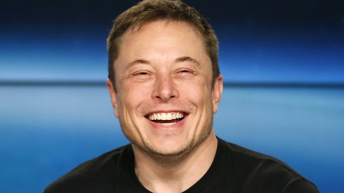 Hinaan Elon Musk (2)