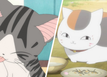 Lucu Dan Menggemaskan! 10 Kucing Terbaik Yang Ada Di Animee