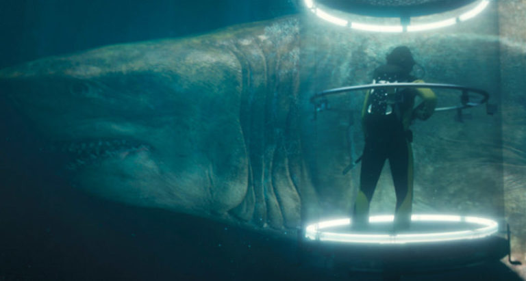 Megalodon Shark