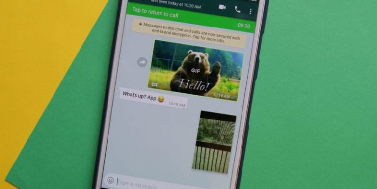 Whatsapp Pip Min