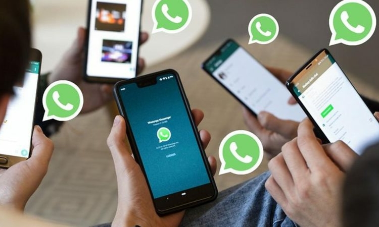 Biaya Langganan WhatsApp