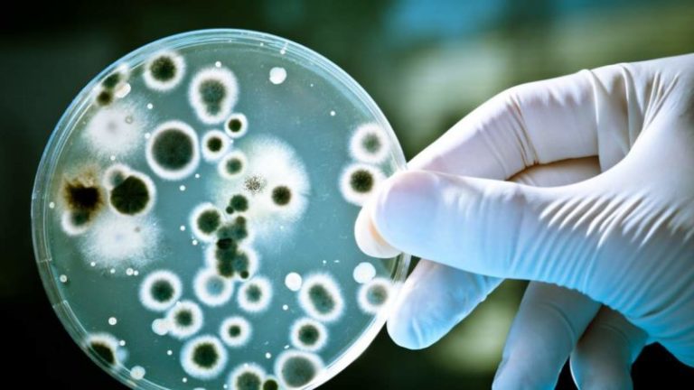 Antibiotik Super yang Bisa Bunuh Bakteri Berhasil Ditemukan Lewat Teknologi AI