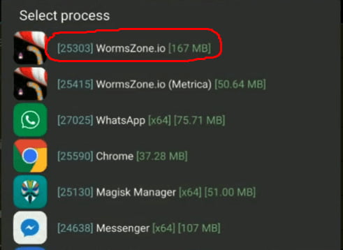 Cheat Worms Zone Io