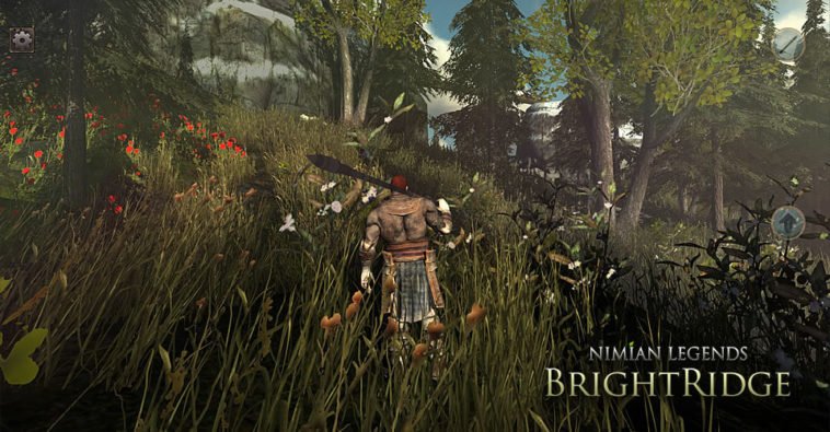 Nimian legends brightridge скачать на андроид встроенный кэш