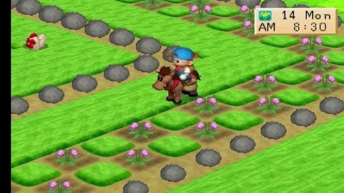 Rahasia Harvest Moon Btn Yang Banyak Tidak Diketahui Dafunda Com